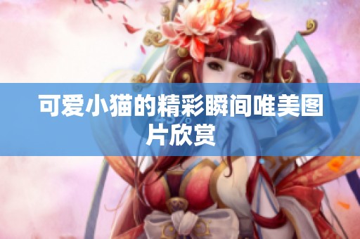 可爱小猫的精彩瞬间唯美图片欣赏