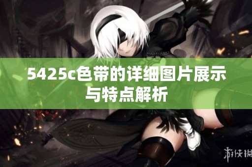 5425c色带的详细图片展示与特点解析