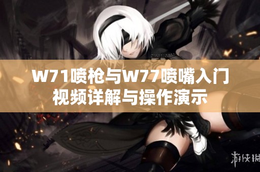 W71喷枪与W77喷嘴入门视频详解与操作演示