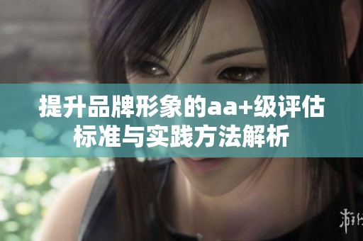 提升品牌形象的aa+级评估标准与实践方法解析
