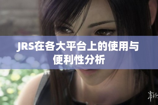 JRS在各大平台上的使用与便利性分析