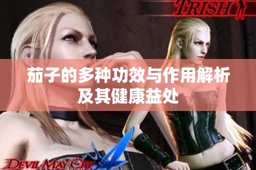 茄子的多种功效与作用解析及其健康益处