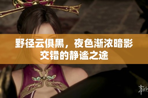 野径云俱黑，夜色渐浓暗影交错的静谧之途