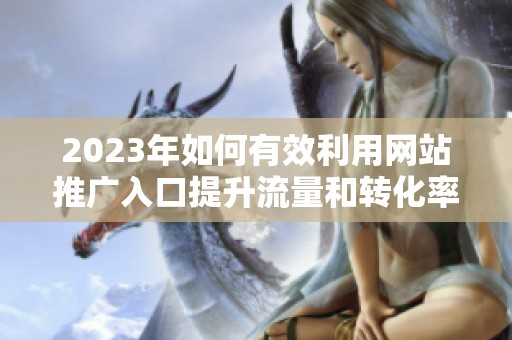 2023年如何有效利用网站推广入口提升流量和转化率