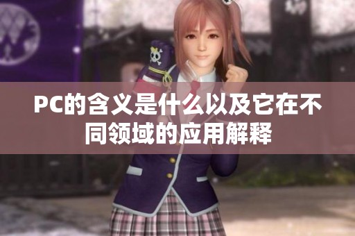 PC的含义是什么以及它在不同领域的应用解释