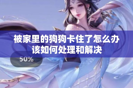 被家里的狗狗卡住了怎么办该如何处理和解决