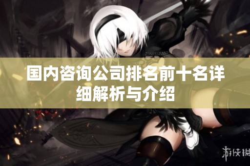 国内咨询公司排名前十名详细解析与介绍