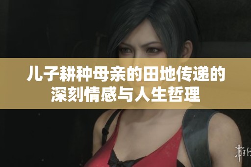 儿子耕种母亲的田地传递的深刻情感与人生哲理