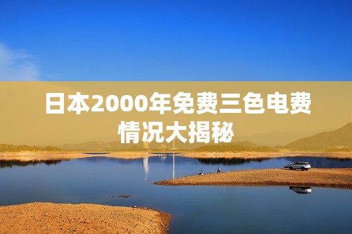 日本2000年免费三色电费情况大揭秘