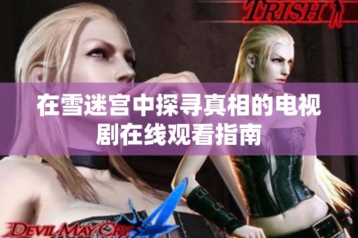 在雪迷宫中探寻真相的电视剧在线观看指南