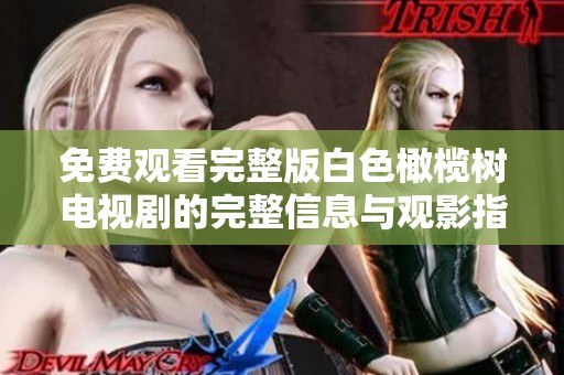 免费观看完整版白色橄榄树电视剧的完整信息与观影指南