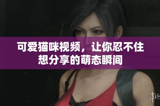 可爱猫咪视频，让你忍不住想分享的萌态瞬间