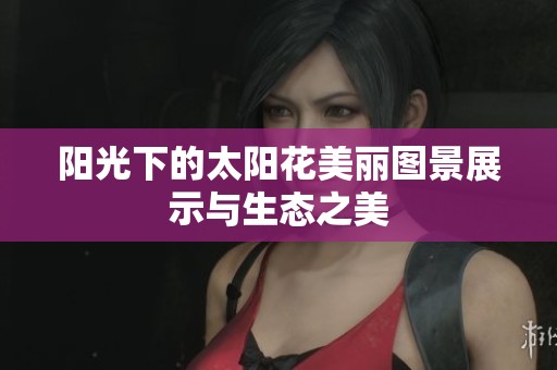 阳光下的太阳花美丽图景展示与生态之美