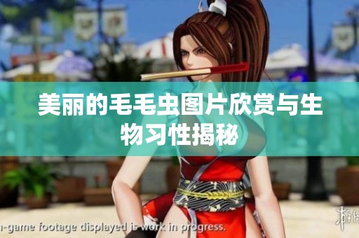 美丽的毛毛虫图片欣赏与生物习性揭秘