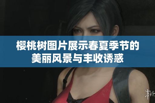 樱桃树图片展示春夏季节的美丽风景与丰收诱惑