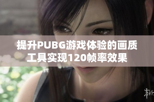 提升PUBG游戏体验的画质工具实现120帧率效果