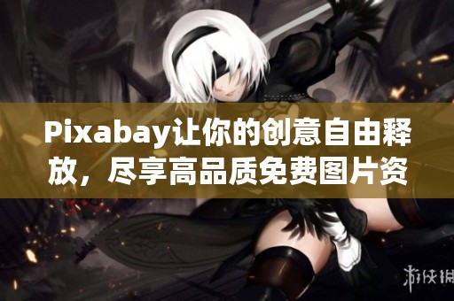 Pixabay让你的创意自由释放，尽享高品质免费图片资源