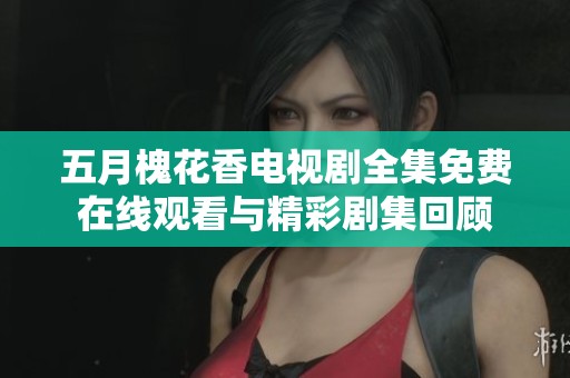 五月槐花香电视剧全集免费在线观看与精彩剧集回顾