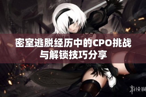 密室逃脱经历中的CPO挑战与解锁技巧分享