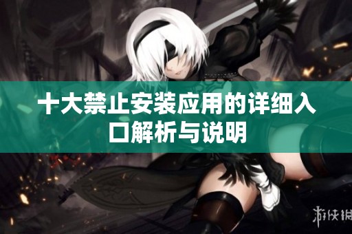 十大禁止安装应用的详细入口解析与说明