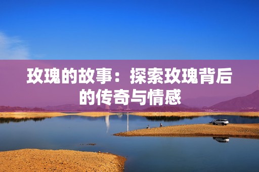 玫瑰的故事：探索玫瑰背后的传奇与情感