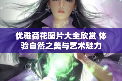 优雅荷花图片大全欣赏 体验自然之美与艺术魅力