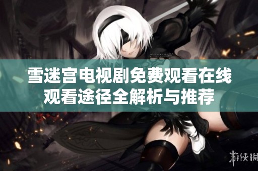 雪迷宫电视剧免费观看在线观看途径全解析与推荐
