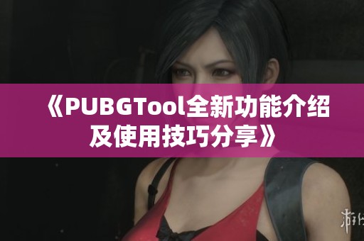 《PUBGTool全新功能介绍及使用技巧分享》