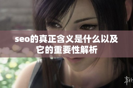 seo的真正含义是什么以及它的重要性解析