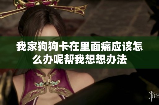 我家狗狗卡在里面痛应该怎么办呢帮我想想办法