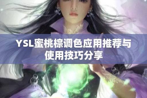 YSL蜜桃棕调色应用推荐与使用技巧分享