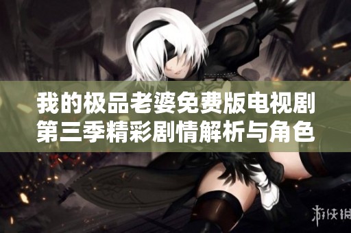 我的极品老婆免费版电视剧第三季精彩剧情解析与角色分析