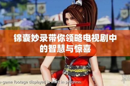 锦囊妙录带你领略电视剧中的智慧与惊喜