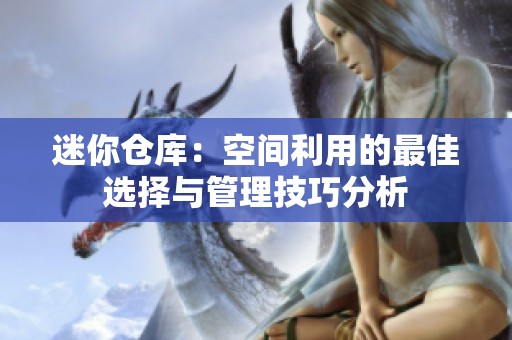 迷你仓库：空间利用的最佳选择与管理技巧分析