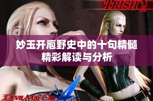 妙玉开庖野史中的十句精髓精彩解读与分析