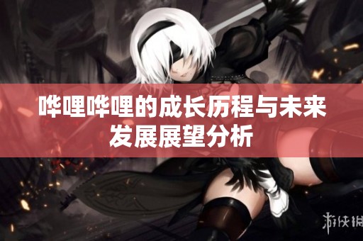 哗哩哗哩的成长历程与未来发展展望分析