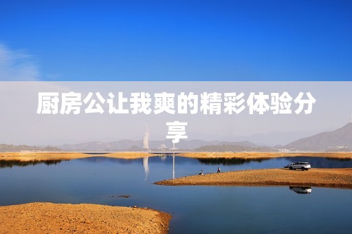 厨房公让我爽的精彩体验分享
