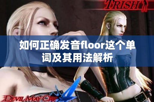 如何正确发音floor这个单词及其用法解析