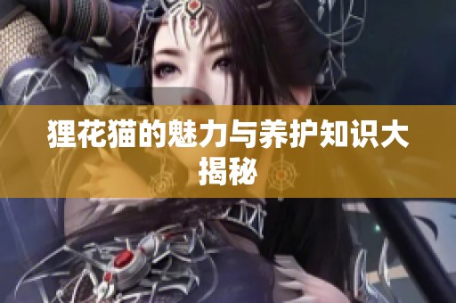 狸花猫的魅力与养护知识大揭秘