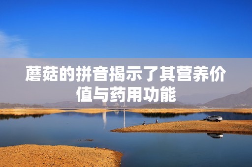 蘑菇的拼音揭示了其营养价值与药用功能