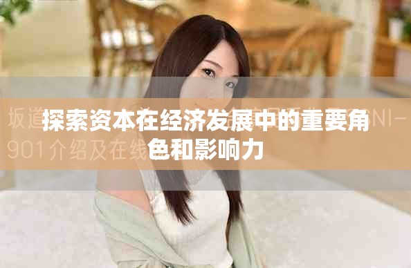 探索资本在经济发展中的重要角色和影响力