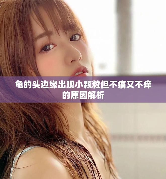 龟的头边缘出现小颗粒但不痛又不痒的原因解析