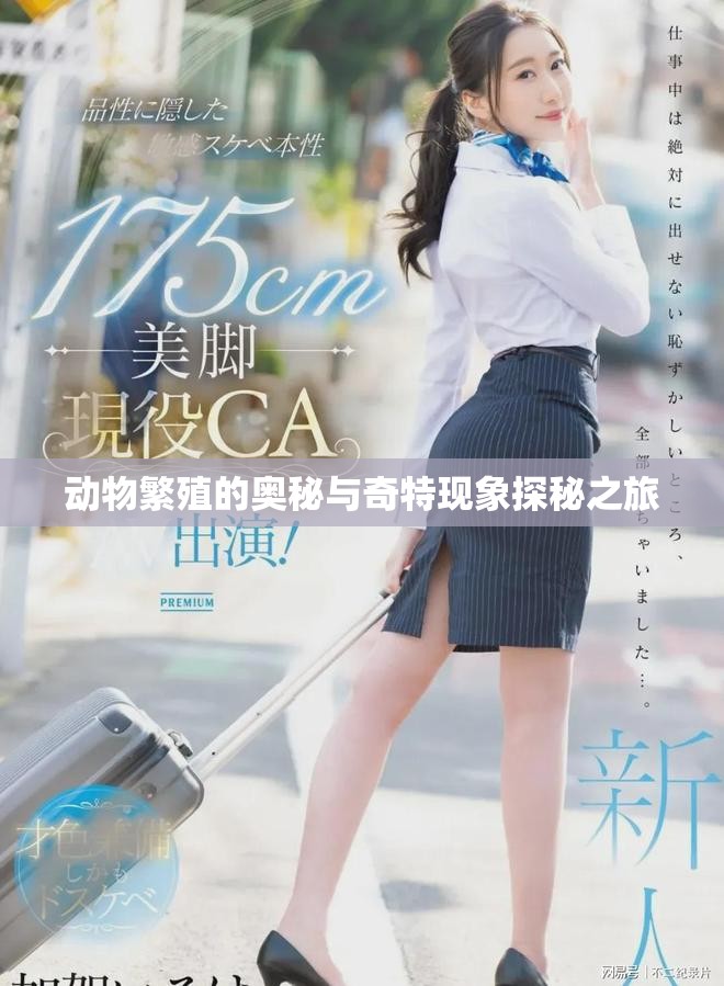 动物繁殖的奥秘与奇特现象探秘之旅