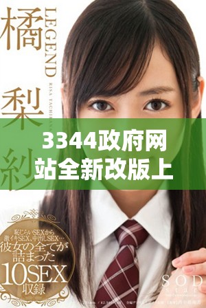 3344政府网站全新改版上线 提供便民服务与信息更新