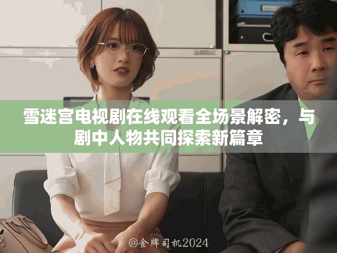 雪迷宫电视剧在线观看全场景解密，与剧中人物共同探索新篇章