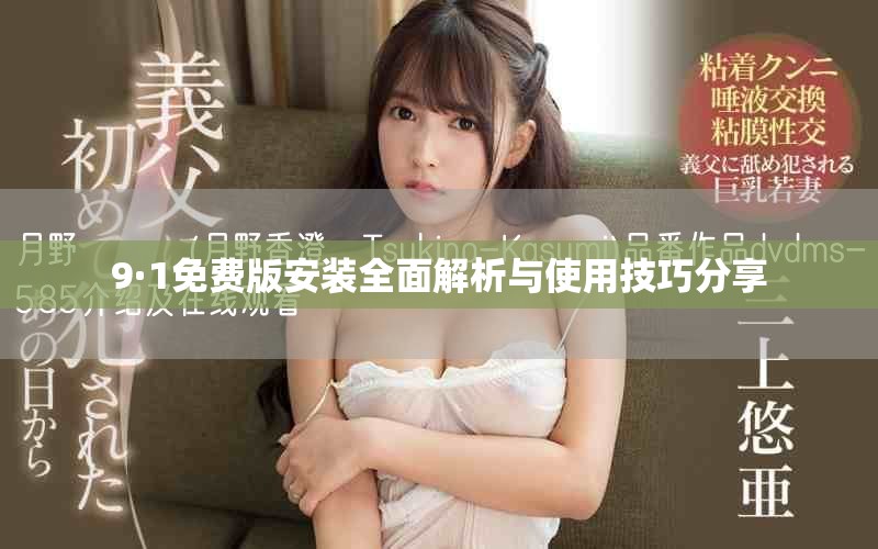 9·1免费版安装全面解析与使用技巧分享