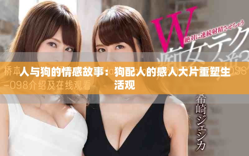 人与狗的情感故事：狗配人的感人大片重塑生活观