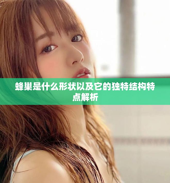 蜂巢是什么形状以及它的独特结构特点解析