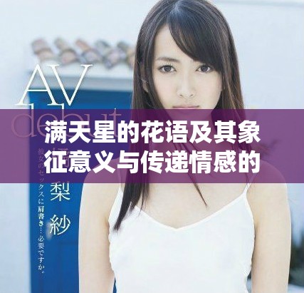 满天星的花语及其象征意义与传递情感的力量