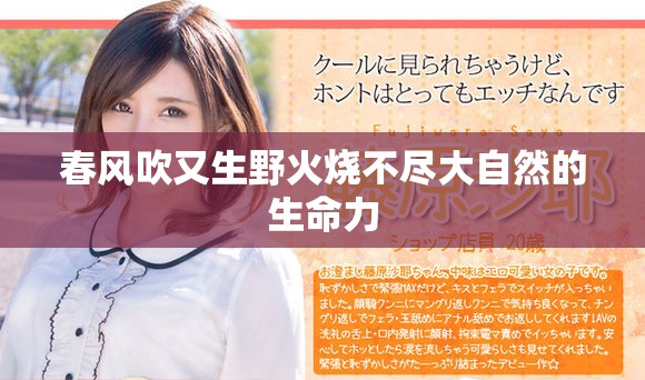 春风吹又生野火烧不尽大自然的生命力